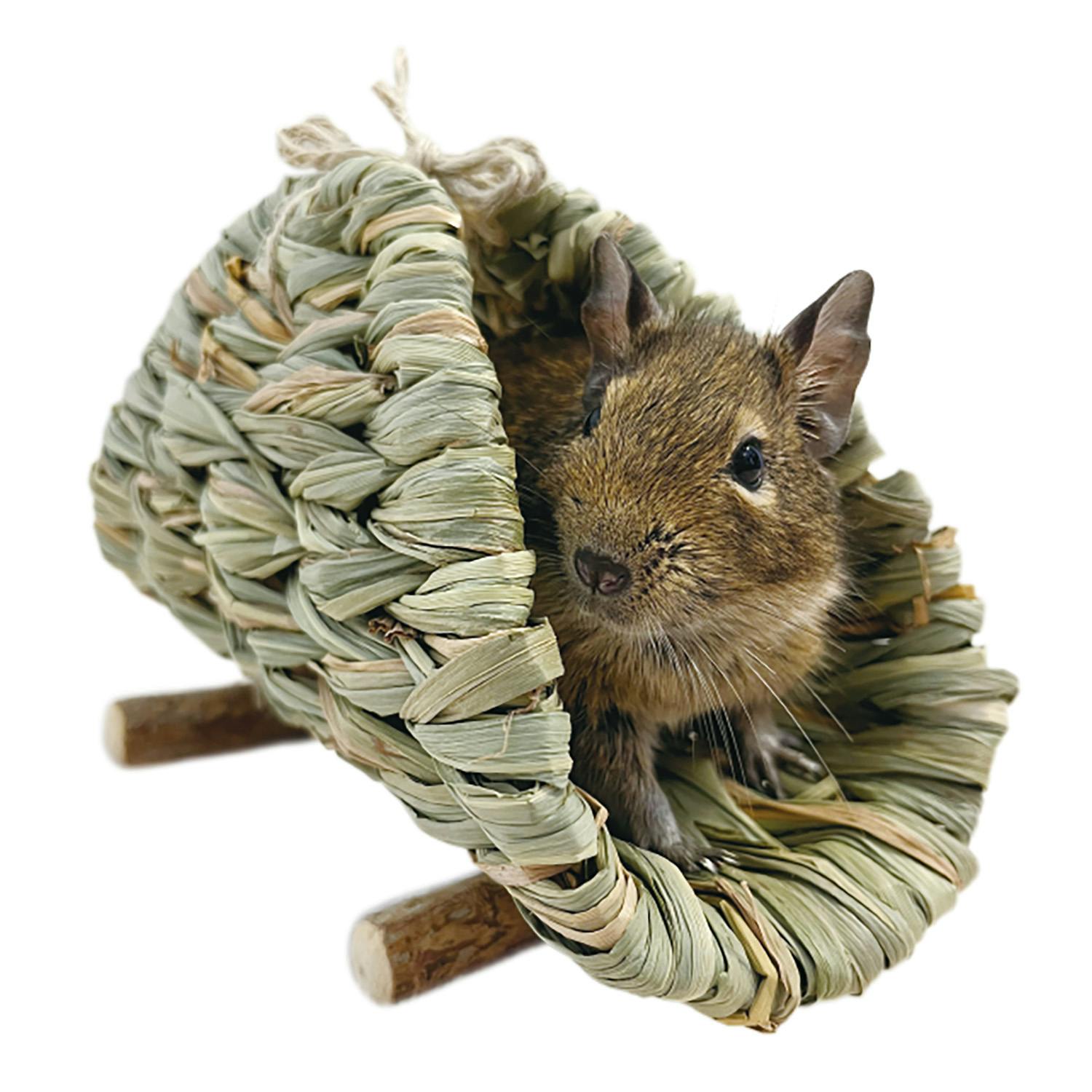 【専用】苔むす木工 ヤギ &トナカイ 苔むす木工 kokemusu mokkou