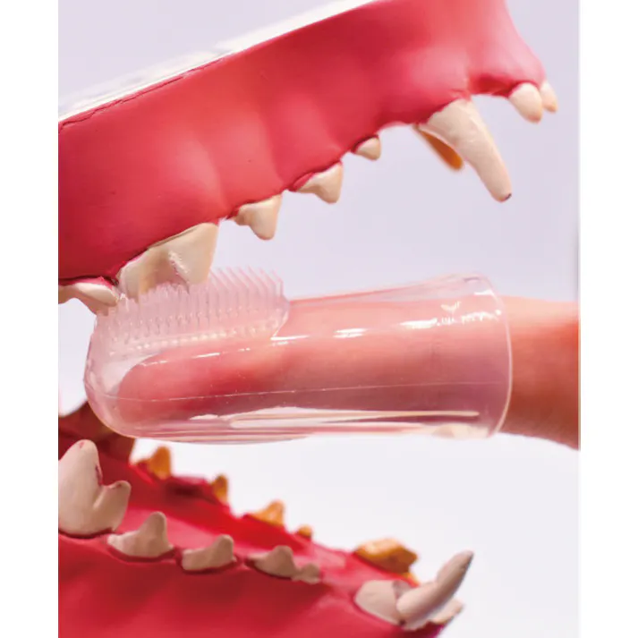 指サックシリコンブラシオリジナルセット 犬用歯ブラシ シリコン指サック 衛生・煮沸消毒対応 6370044001【別送品】