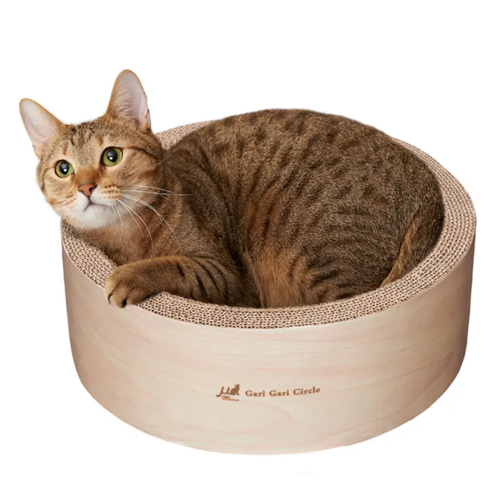 ガリガリ サークル スクラッチャー インテリア ミルベージュ 子猫 爪とぎベッド 段ボールタイプ 1900035001【別送品】
