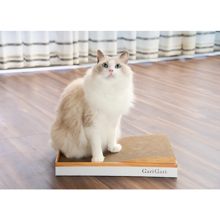 有限会社エイムクリエイツ GariGari ガリガリプレイス スロープ 1900065001【別送品】