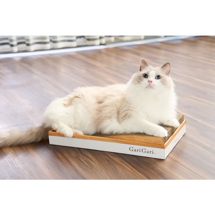 有限会社エイムクリエイツ GariGari ガリガリプレイス スロープ 1900065001【別送品】