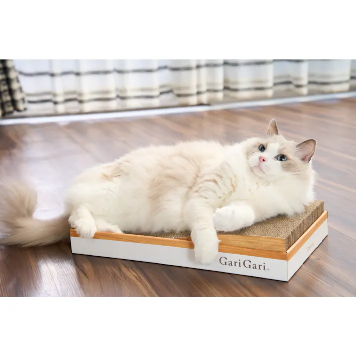 有限会社エイムクリエイツ GariGari ガリガリプレイス スロープ 1900065001【別送品】