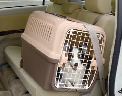 リッチェル キャンピングキャリーL ダークブラウン 2800877001【別送品