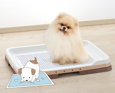 お掃除簡単ステップトレー レギュラー ダークブラウン メッシュトレー