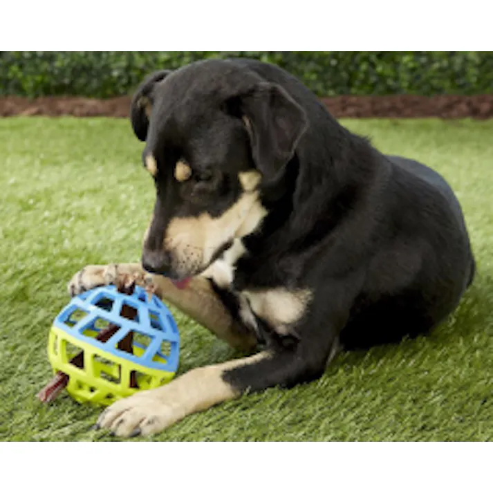 ナーフドッグ フィーダーボール 5i ナーフ おもちゃ アクティブ 2801114001【別送品】