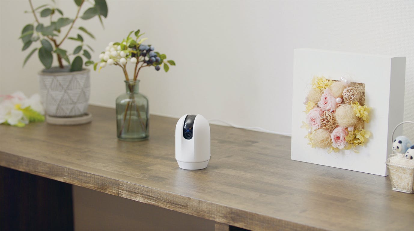 リッチェル 見守りカメラ LOOK 2801164001【別送品】 | ペット用品（犬