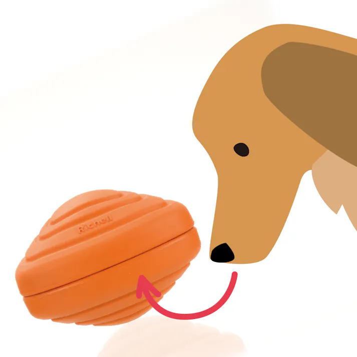 グルー ペックSS O 知育玩具 噛むおもちゃ ゴム製 2801316001【別送品】