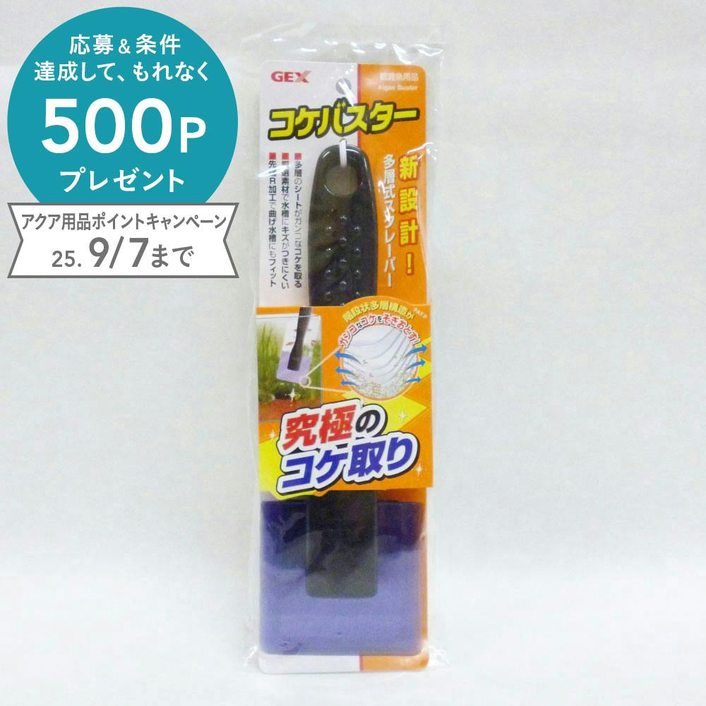 GEX コケバスター 多層式スクレーパー(1ケース10個入り) 1741144010 水質調整用品 GEX コケバスター 多層式スクレーパー(1ケース10個入り) 1741144010 水質調整用品