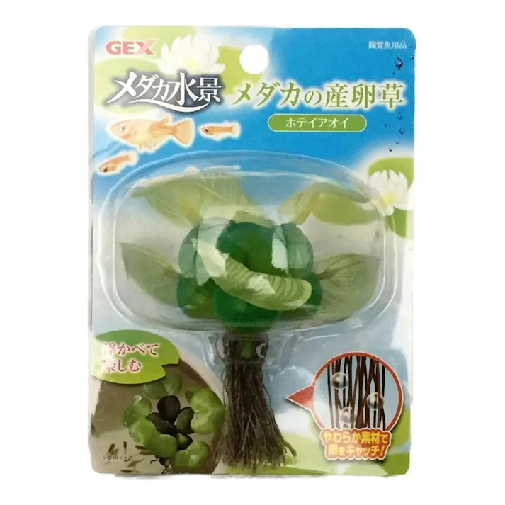 【ケース販売】GEX メダカの産卵草 ホテイアオイ(1ケース24個入り) メダカ アクアリウム用品 産卵草 1741921024【別送品】