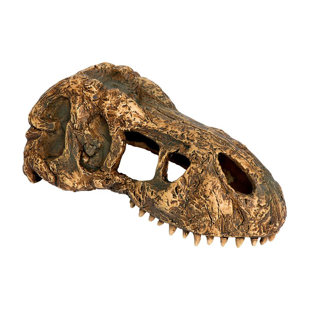 T-REXスカルS(1ケース4個入り) 1742877004 亀・爬虫類用品 T-REXスカルS(1ケース4個入り) 1742877004 亀・爬虫類用品