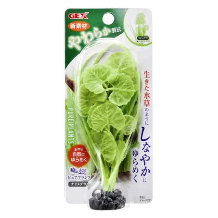 【ケース販売】癒し水景 ピュアプランツ チドメグサ(1ケース24個入り) 1742991024【別送品】