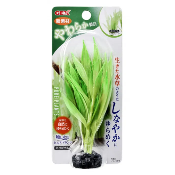 【ケース販売】癒し水景 ピュアプランツ ポリゴナム(1ケース24個入り) 1742992024【別送品】