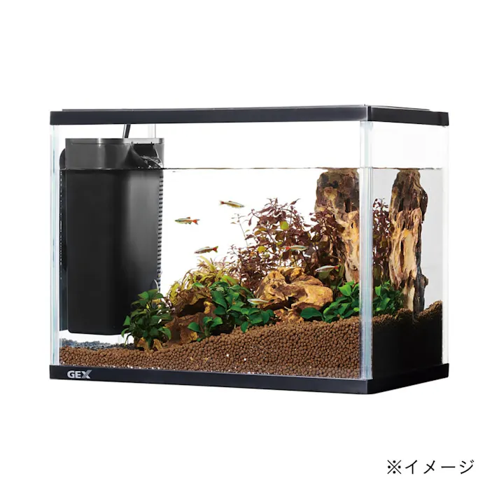 【ケース販売】ジェックスラクフィルスリム ブラック(1ケース8個入り)1743413008 【別送品】