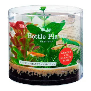 【ケース販売】癒し水景ボトルプランツ アヌビアス(1ケース24個入り) アクアリウム用品 水槽 装飾用 1743644024【別送品】