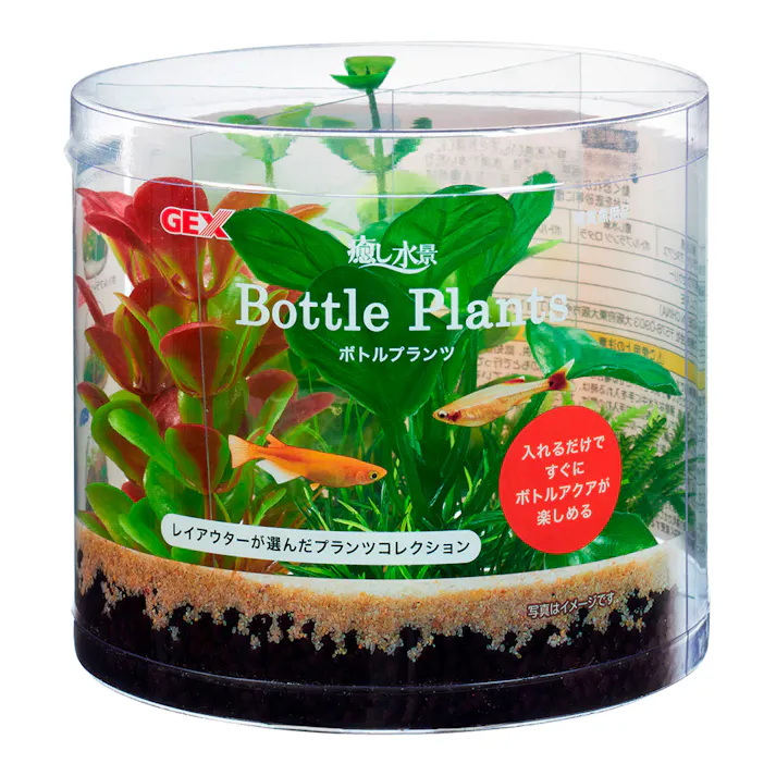 【ケース販売】癒し水景ボトルプランツ アヌビアス(1ケース24個入り) 1743644024【別送品】