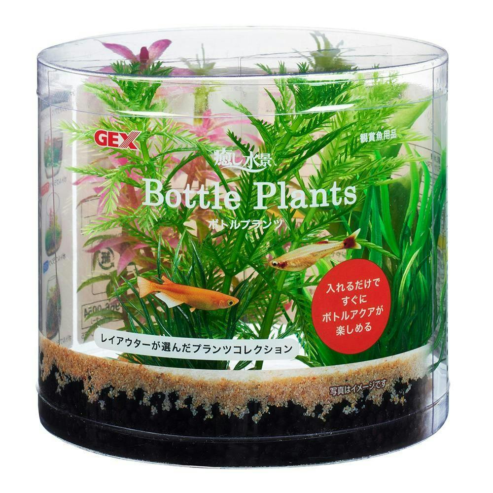 【ケース販売】癒し水景ボトルプランツ ミリオフィラム(1ケース24個入り) アクアリウム用品 水槽 装飾用 1743646024【別送品】