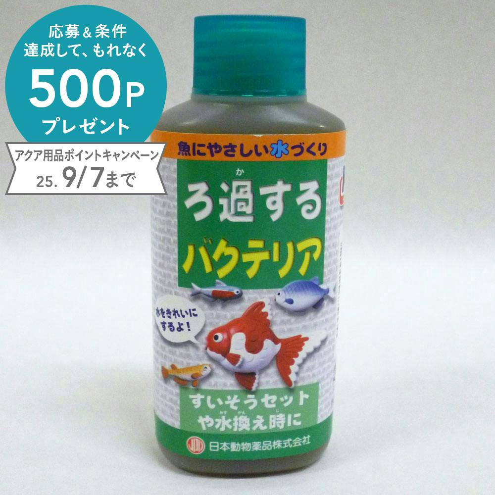ニチドウ ろ過するバクテリア 100ml(1ケース48個入り) 2950734048 水質調整用品 ニチドウ ろ過するバクテリア 100ml(1ケース48個入り) 2950734048 水質調整用品