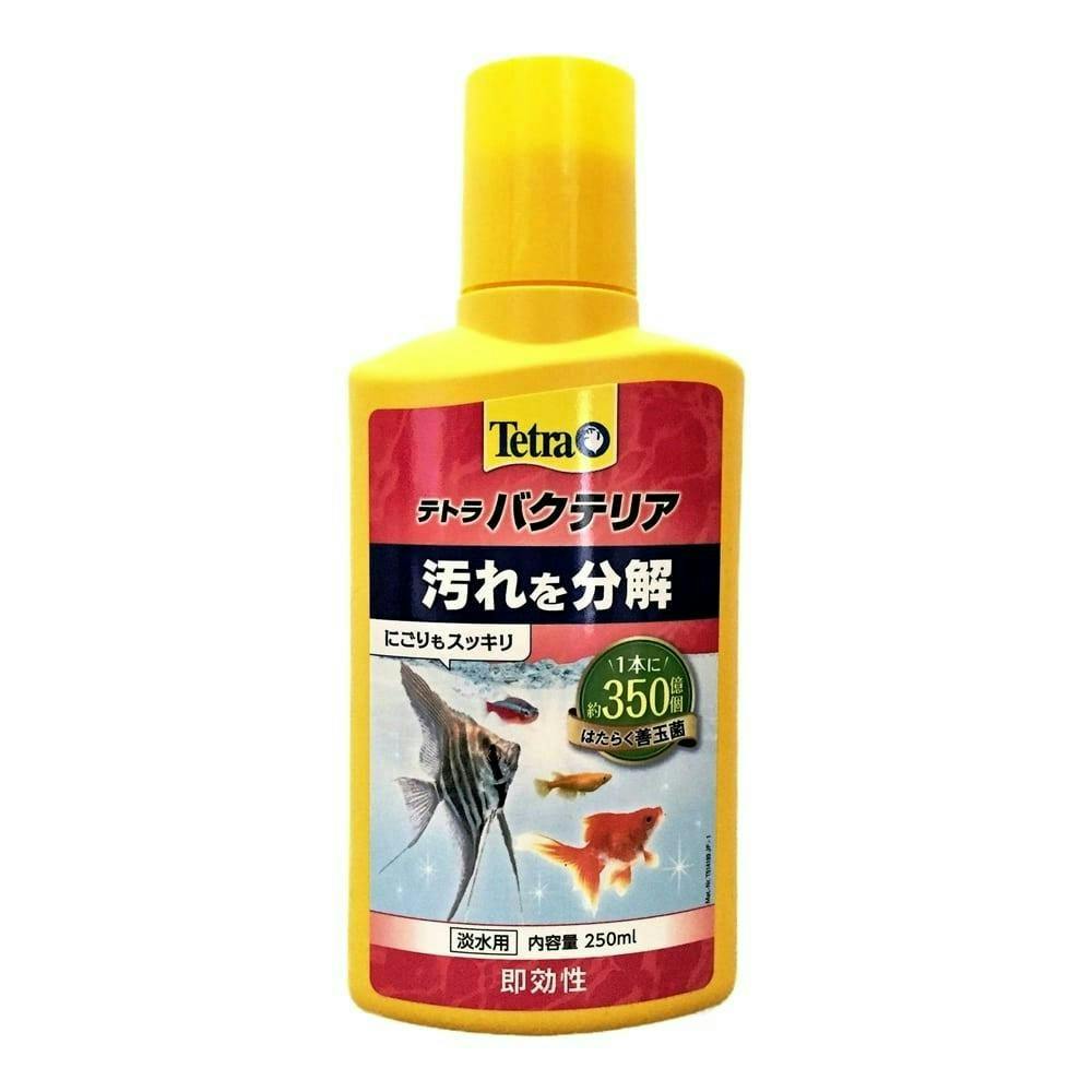 【ケース販売】テトラ バクテリア 250ml(1ケース24個入り) アクアリウム用品 バクテリア 水質 3360959024【別送品】
