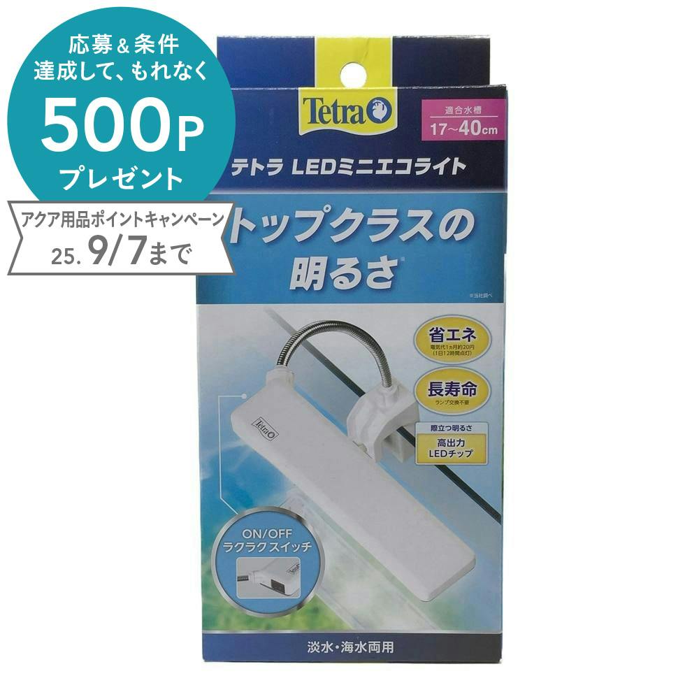 テトラ LEDミニエコライト(1ケース12個入り) 3360965012 水槽用照明・ライト テトラ LEDミニエコライト(1ケース12個入り) 3360965012 水槽用照明・ライト