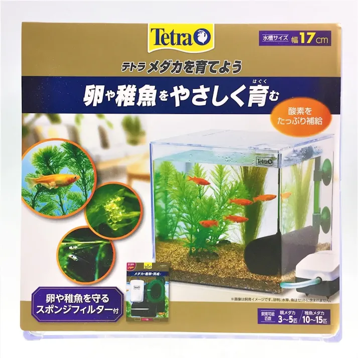 【ケース販売】メダカの稚魚を育てよう PL-17KB(1ケース12個入り) 3360975012【別送品】