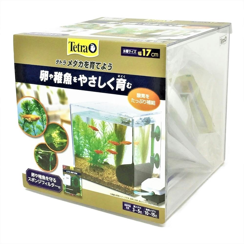 ケース販売】メダカの稚魚を育てよう PL-17KB(1ケース12個入り