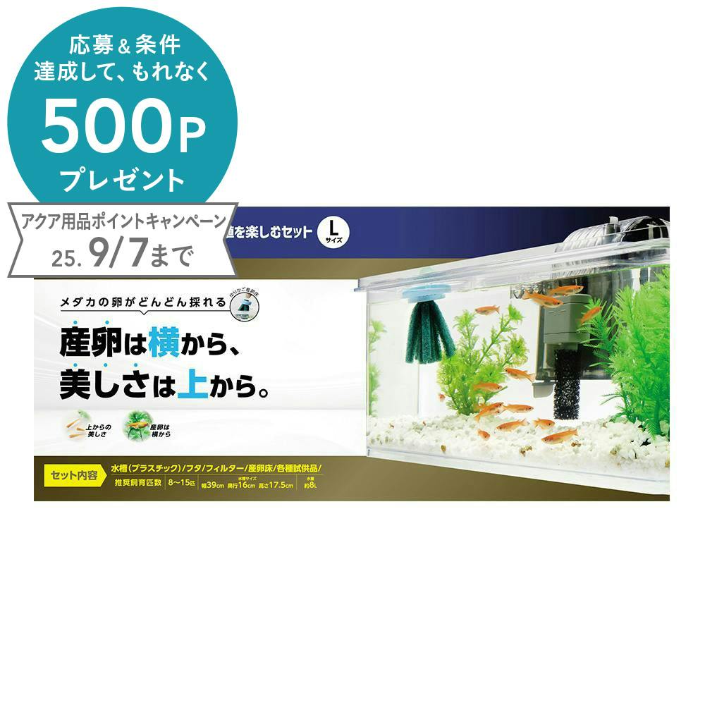 メダカの繁殖を楽しむセットL(1ケース6個入り) 3361125006 水槽・アクアリウム メダカの繁殖を楽しむセットL(1ケース6個入り) 3361125006 水槽・アクアリウム
