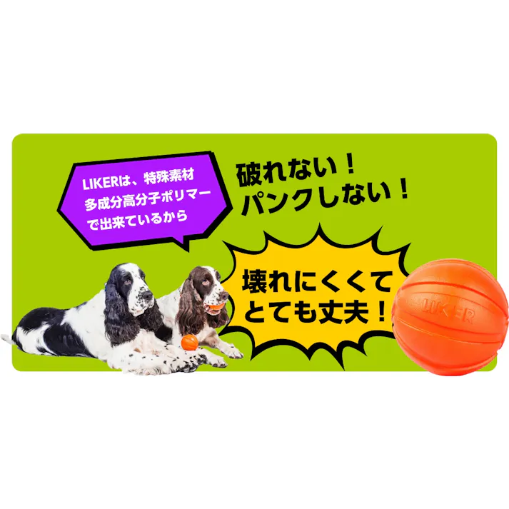 【ケース販売】ライカ9 ライン魔法のベルト全犬種対象1個組(1ケース10個入り) 犬おもちゃ 知育玩具 噛むおもちゃ 8510014010【別送品】