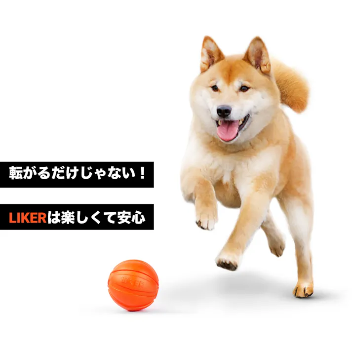 【ケース販売】ライカ9 ライン魔法のベルト全犬種対象1個組(1ケース10個入り) 犬おもちゃ 知育玩具 噛むおもちゃ 8510014010【別送品】