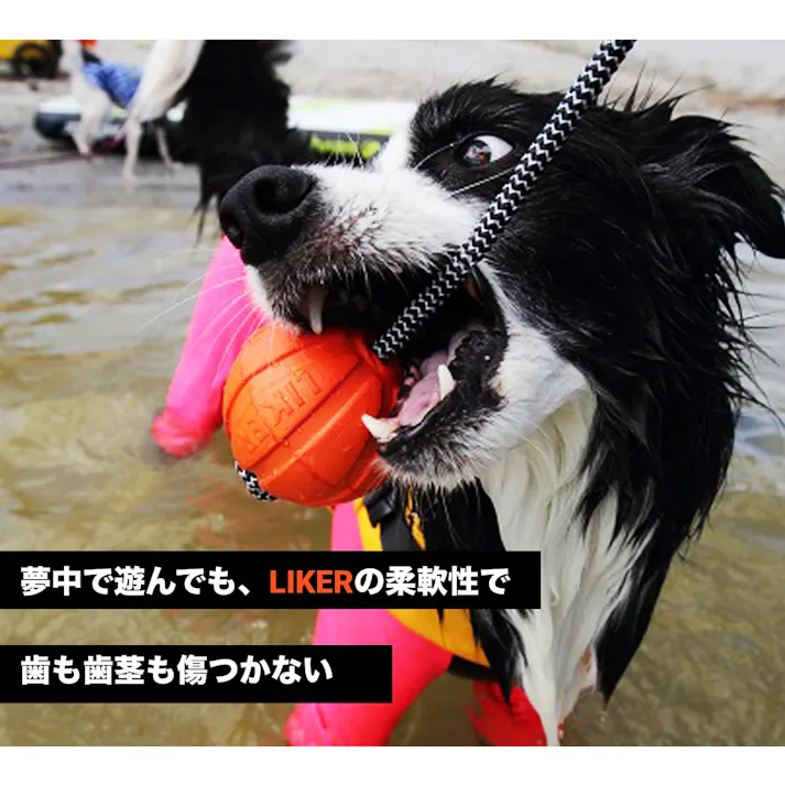 【ケース販売】ライカ9 ライン魔法のベルト全犬種対象1個組(1ケース10個入り) 犬おもちゃ 知育玩具 噛むおもちゃ 8510014010【別送品】