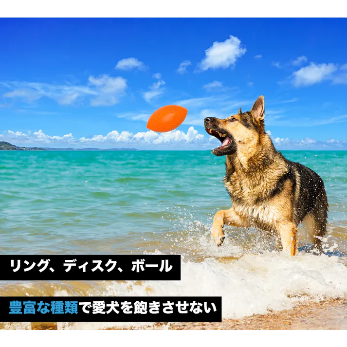 【ケース販売】ピッチドッグスポーツボールオレンジ(1ケース10個入り) 8510162010【別送品】