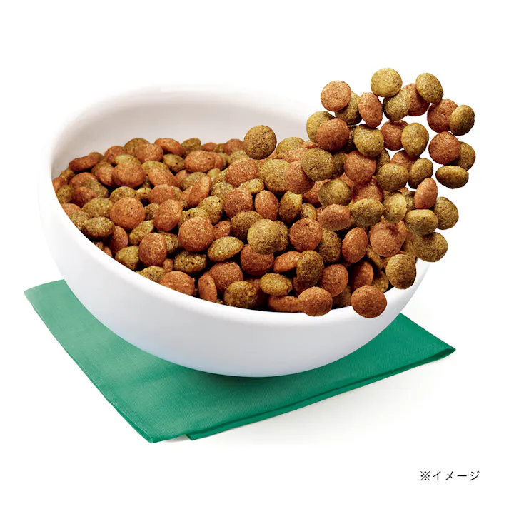 【ケース販売】マースジャパン リミテッド ペディグリー 11歳 チキン野菜 2kg(1ケース6個入り) シニア 犬のごはん ドライ 1080580006【別送品】