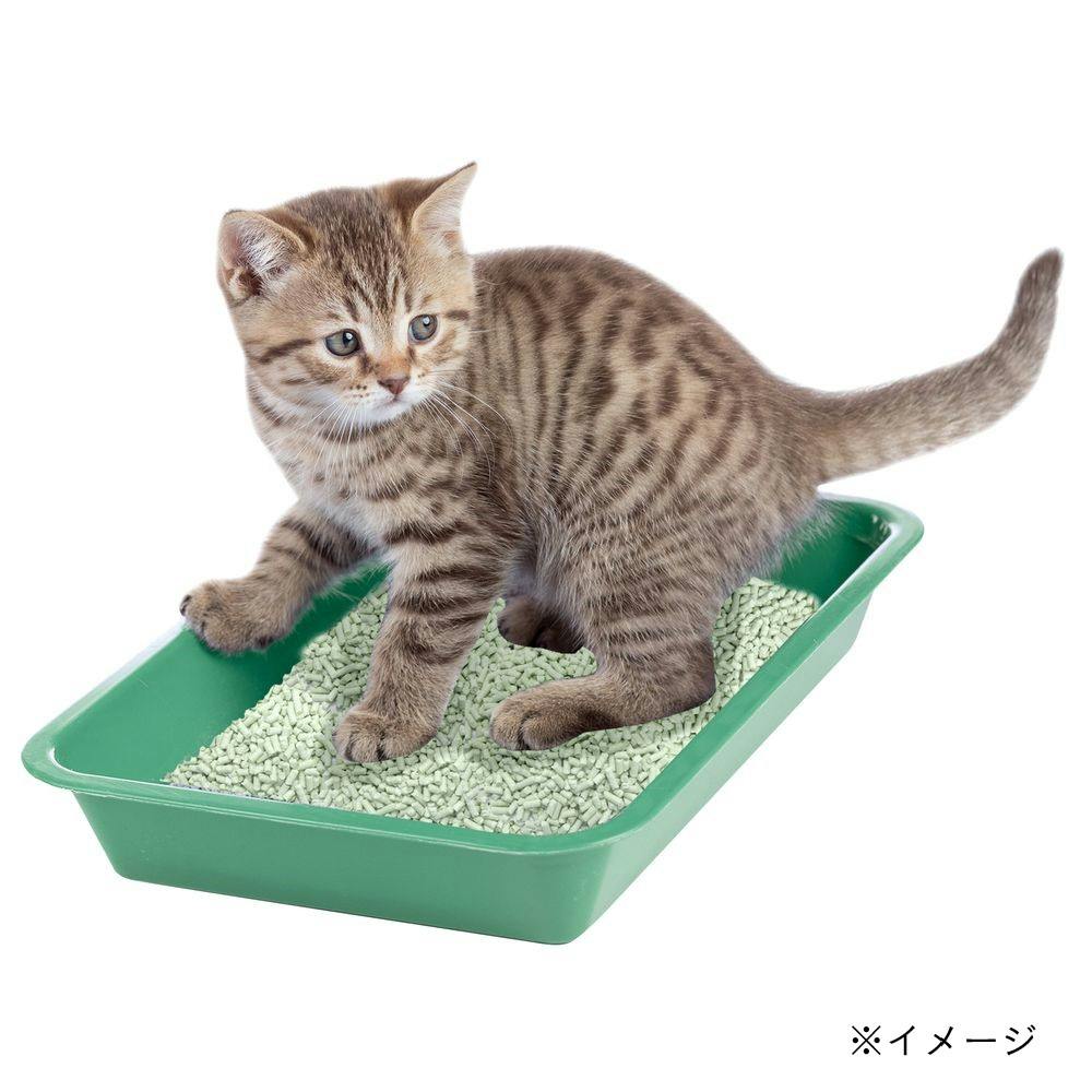 アース・ペット【ケース販売】クリーンケア えんどう豆の猫砂 緑茶の