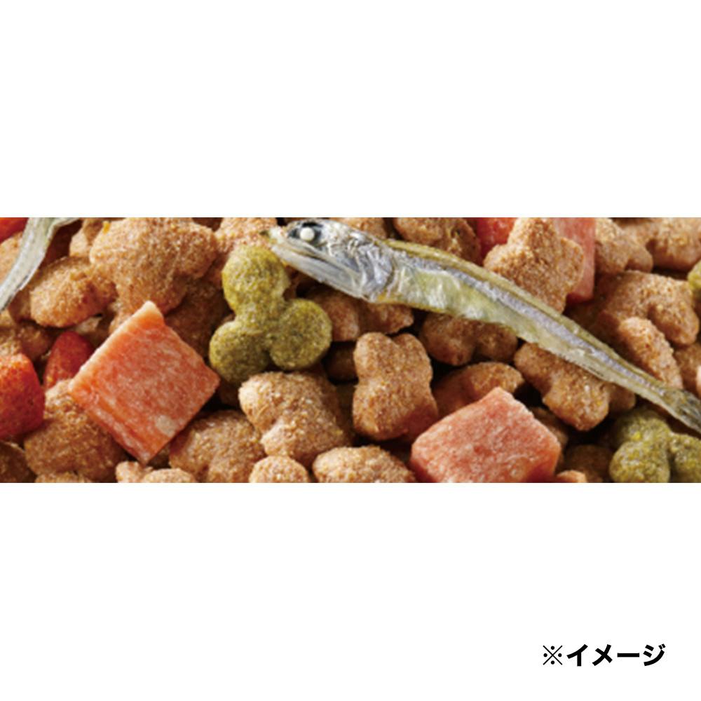 ケース販売】 コンボ ドッグ ゴロッとビーフ入り 720g(1ケース12個入り