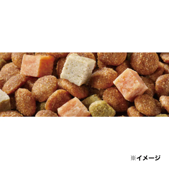 【ケース販売】 コンボ ドッグ 11歳以上 720g(1ケース12個入り) 国産 ドッグフード 具材 1011287012【別送品】