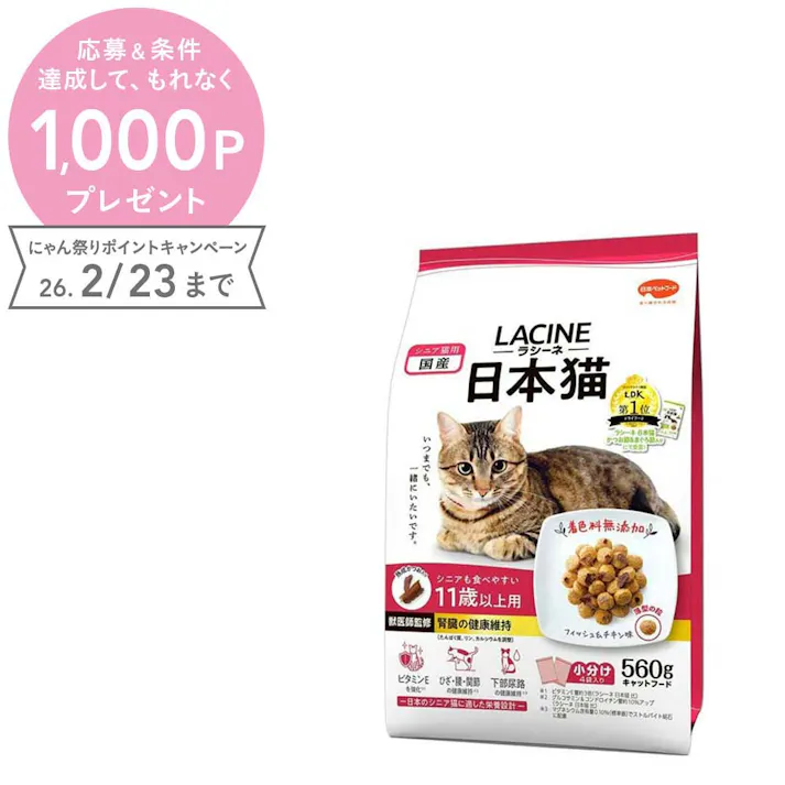 【ケース販売】 ラシーネ 日本猫 11歳以上用560g(1ケース10個入り) 着色料無添加 香料無添加 保存料無添加 1011316010【別送品】