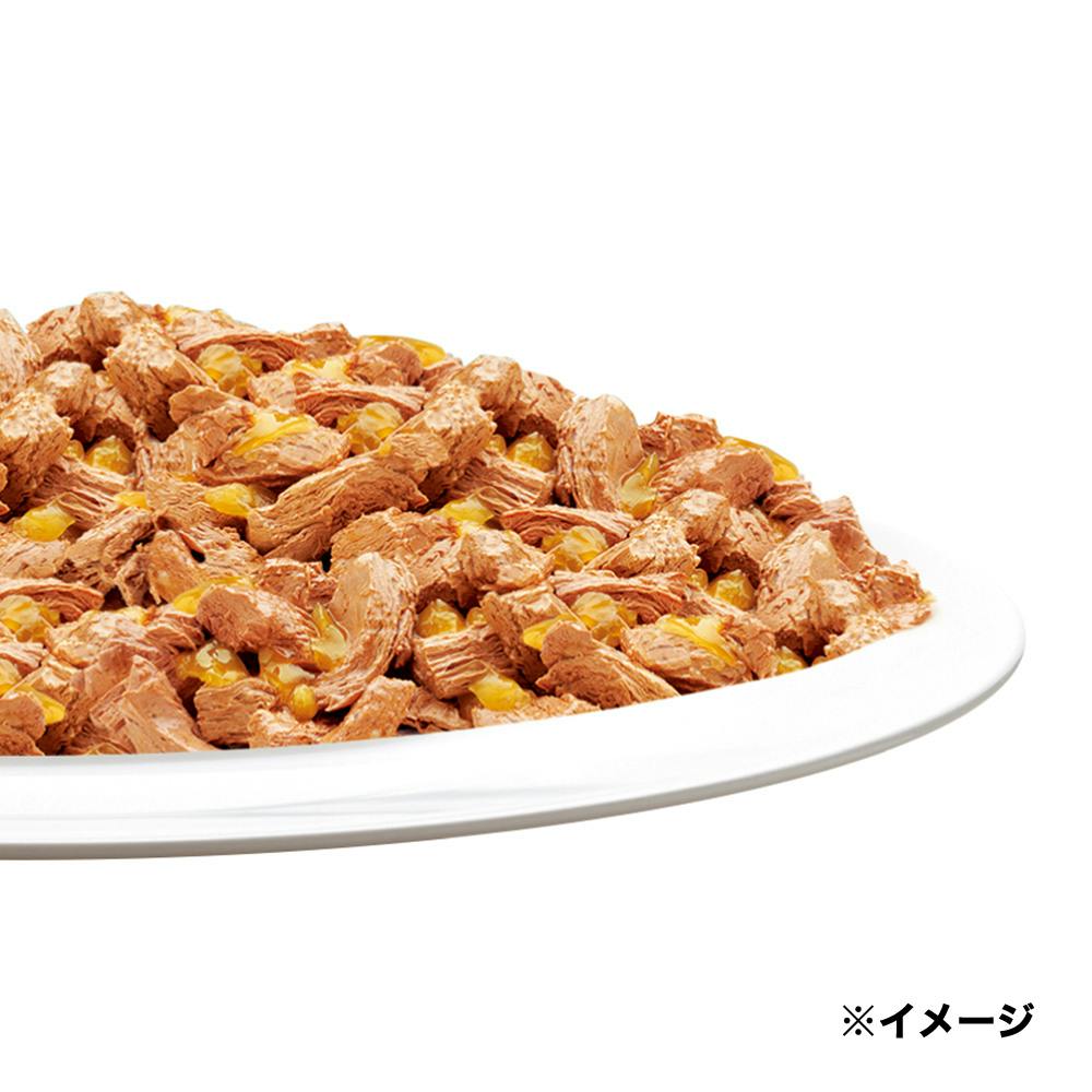 ケース販売】 フィリックス やわらかグリル子ねこツナ(1ケース48個入り