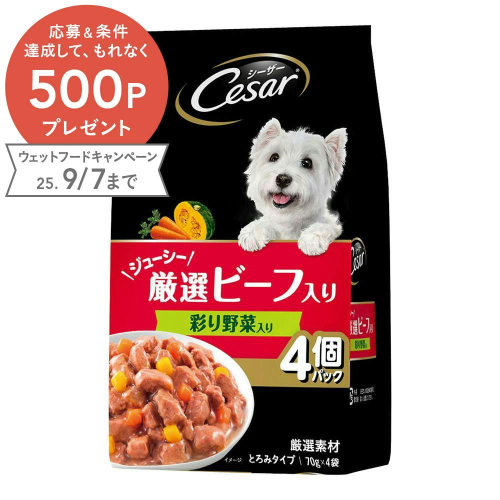 マースジャパン シーザー厳選ビーフ彩り野菜入り 70g×4袋(1ケース36個入り)1081498036 4902397864578 犬用ウェットフード(パウチ) マースジャパン シーザー厳選ビーフ彩り野菜入り 70g×4袋(1ケース36個入り)1081498036 4902397864578 犬用ウェットフード(パウチ)
