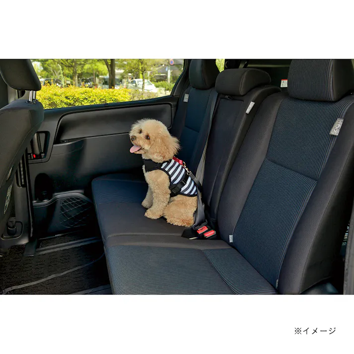 【ケース販売】おでかけベストハーネスS ストライプ(1ケース24個入り) 犬 用品 胴輪 2801210024【別送品】