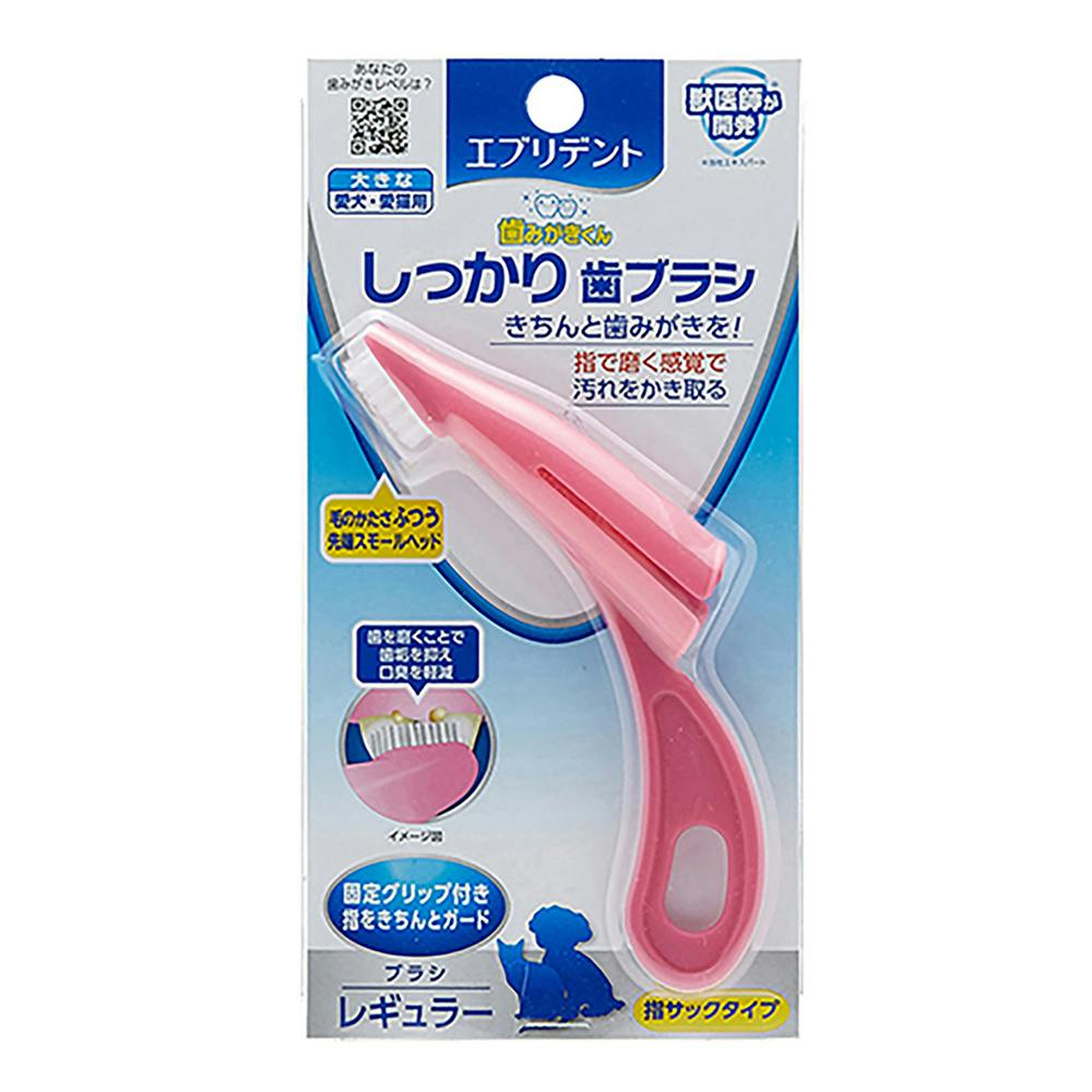 アース・ペットエブリデント しっかり歯ブラシ レギュラー(1ケース48個入り)3140405048 4994527891608 デンタルケア用品 アース・ペットエブリデント しっかり歯ブラシ レギュラー(1ケース48個入り)3140405048 4994527891608 デンタルケア用品