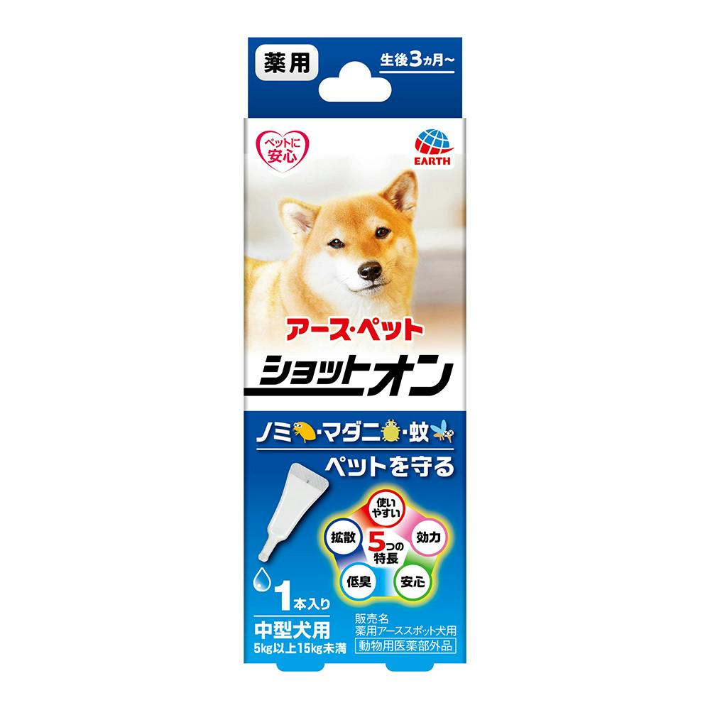 オファー ペット用品犬 ケース