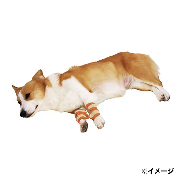 ペティオ【ケース販売】老犬介護用 床ずれ予防サポーター 中(1ケース48個入り)3412696048 4903588235740【別送品】