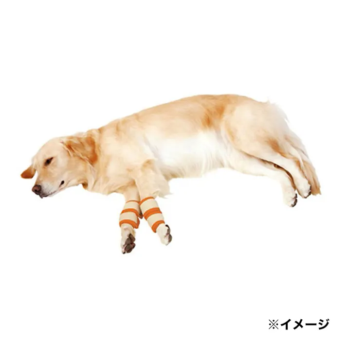 【ケース販売】老犬介護用 床ずれ予防サポーター 大(1ケース48個入り) 犬 用品 皮膚の保護に 3412697048【別送品】
