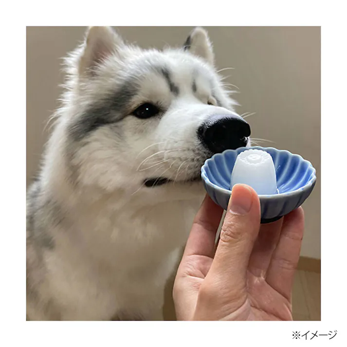 【ケース販売】ペティオ プラクト砂糖ゼロヨーグルト風味ゼリー 16g(1ケース18個入り)3418383018 4903588138973【別送品】