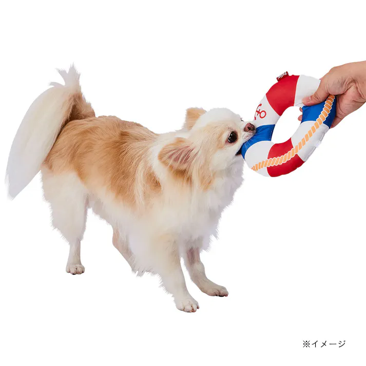 【ケース販売】犬用ひんやりぬいぐるみ うきわ(1ケース72個入り) 犬 用品 冷暖房用品 3419146072【別送品】