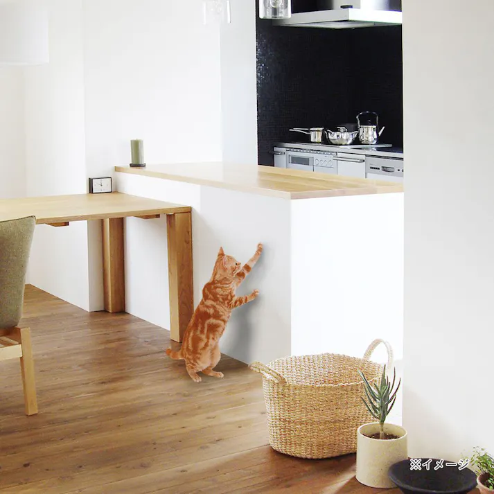 明和グラビア【ケース販売】ツメ傷保護シートNTS-01クリア 45X90(1ケース20個入り)4310517020 4977932263291【別送品】