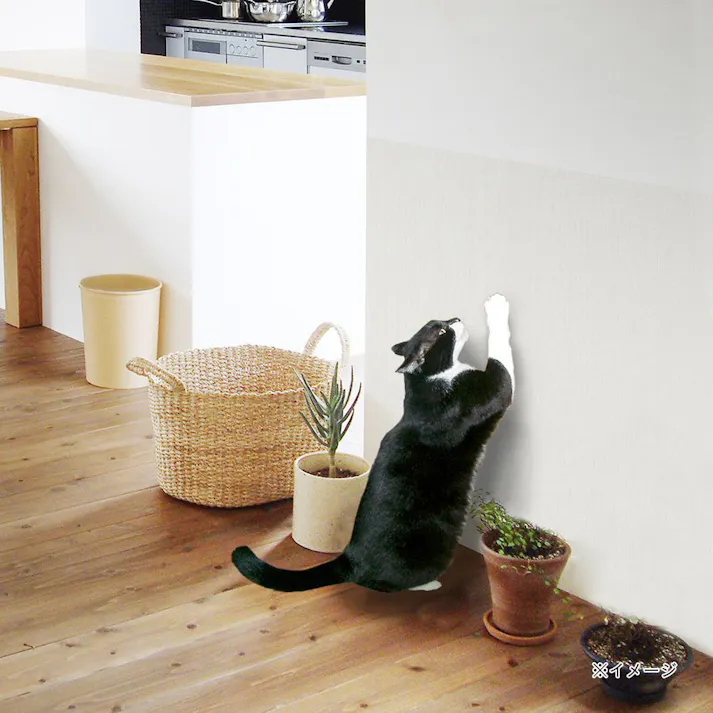 明和グラビア【ケース販売】ツメ傷保護シートNTS-02無地 90X90(1ケース20個入り)4310521020 4977932263338【別送品】