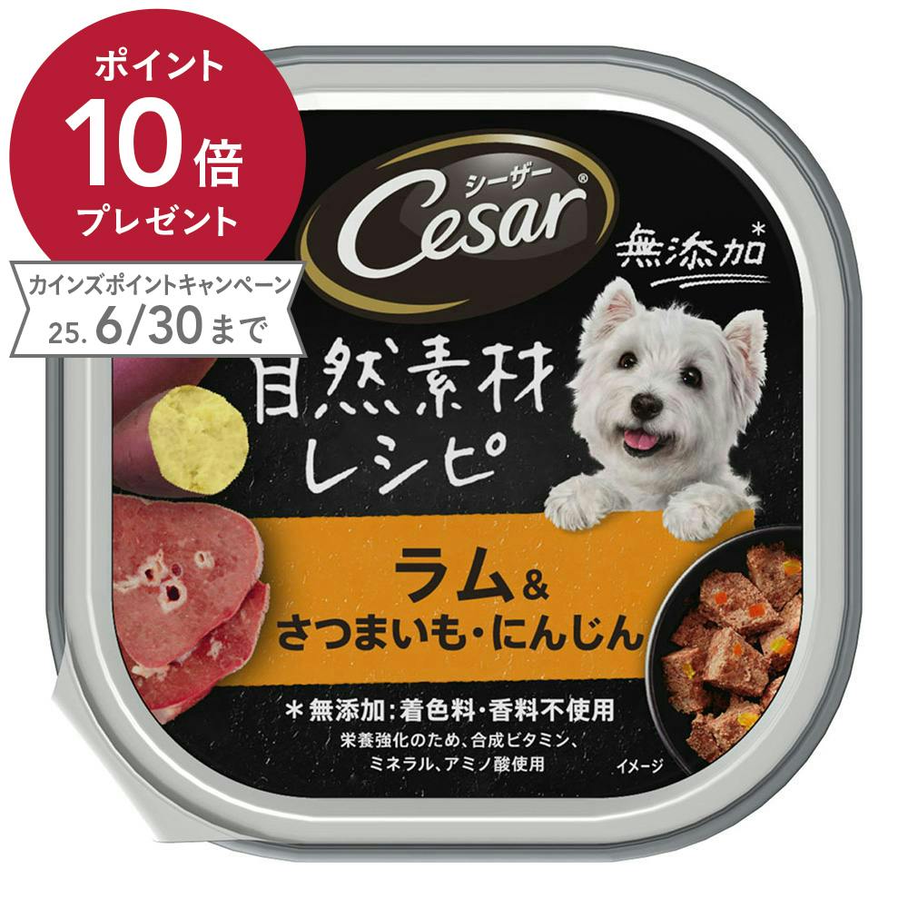 マースジャパン シーザー自然素材ラム&さつまいも・にんじん85g(1ケース112個入り)1081438112 4902397861416 犬用ウェットフード(カップ・トレー) マースジャパン シーザー自然素材ラム&さつまいも・にんじん85g(1ケース112個入り)1081438112 4902397861416 犬用ウェットフード(カップ・トレー)