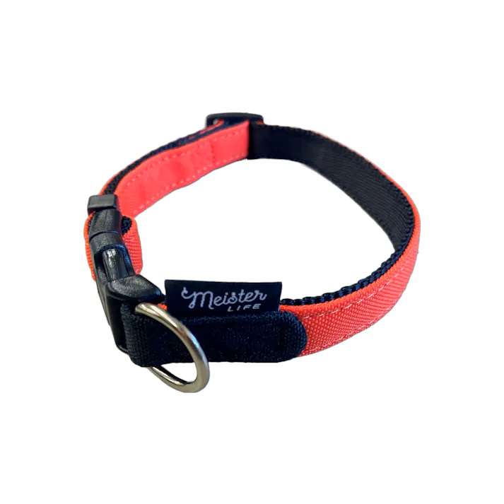 MLワンタッチカラープレーンOR S 首輪 迷子防止 犬用 3345442001【別送品】
