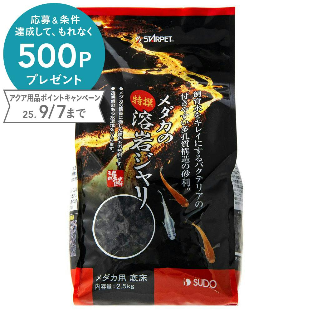 スドー メダカの特撰溶岩ジャリ2.5kg 4974212060557 1380915001 水槽用インテリア・底砂 スドー メダカの特撰溶岩ジャリ2.5kg 4974212060557 1380915001 水槽用インテリア・底砂