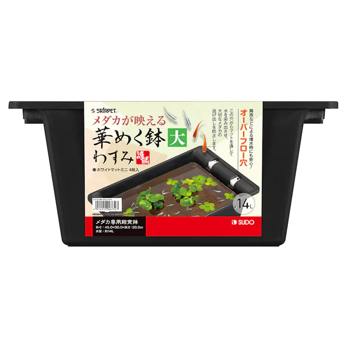 スドー 華めく鉢わすみ大 4974212067327 1380919001【別送品】